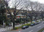 DSCN1542.JPG (337801 �o�C�g)